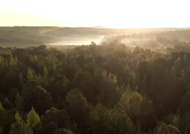 Lifetime Mangroves & Sea Views
